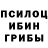 Галлюциногенные грибы Magic Shrooms UMB.GROZA_YT