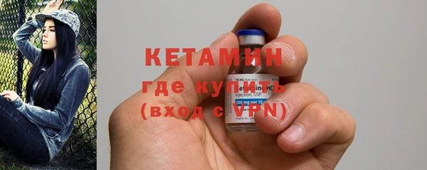 сатива Бронницы