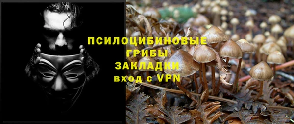 сатива Бронницы