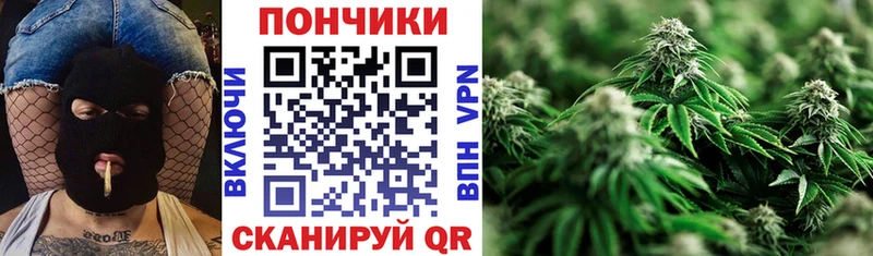 наркота  Касли  Конопля гибрид 